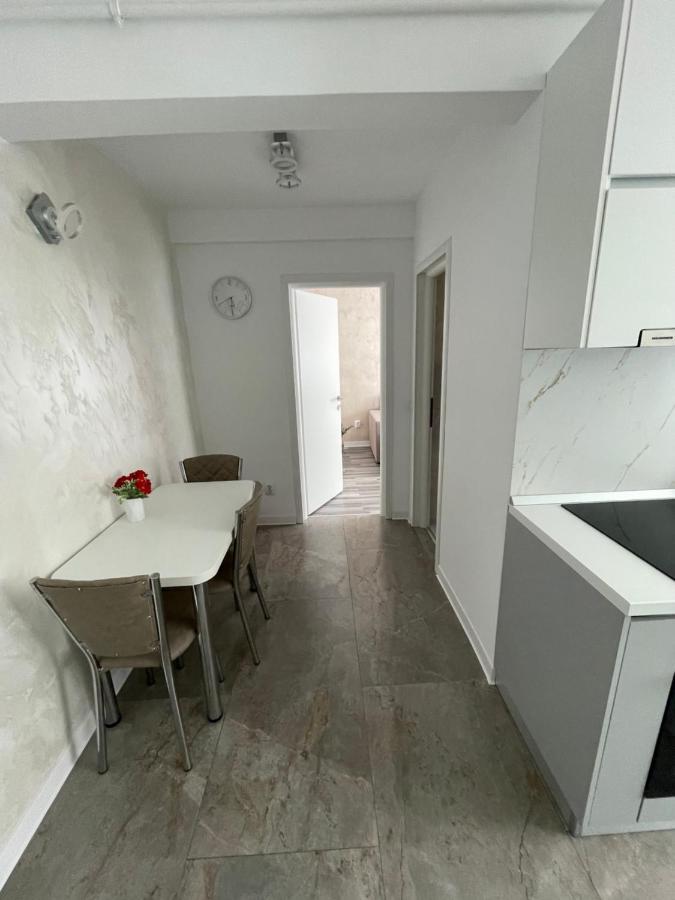 Luxury Apartment Сибиу Экстерьер фото